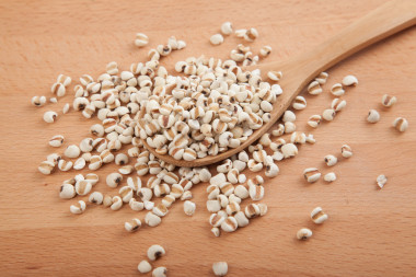 喬布斯用木勺的眼淚圖片