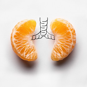 疾病的阴影