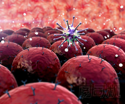 病毒細胞