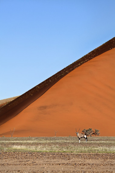 在納米比亞的沙丘