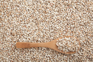 喬布斯用木勺的眼淚照片