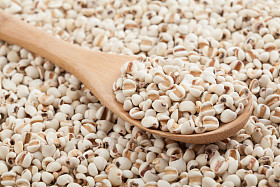 乔布斯用木勺的眼泪照片