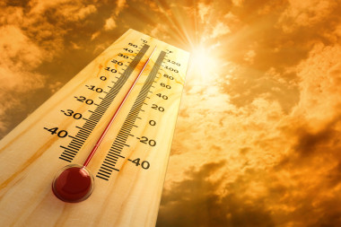 The thermometer. The thermometer
