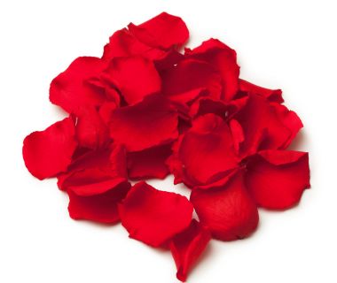 玫瑰花瓣图片