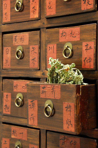 中國醫(yī)藥商店