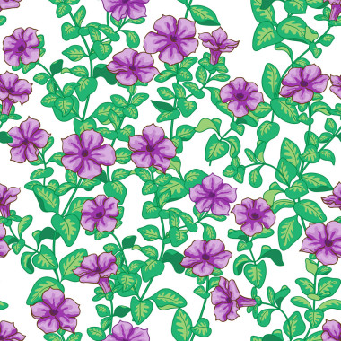 矮牽?；ú輬D案