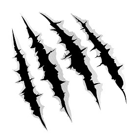 白色背景上的爪子划伤照片