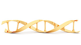 黄金 dna。3d 插图中孤立