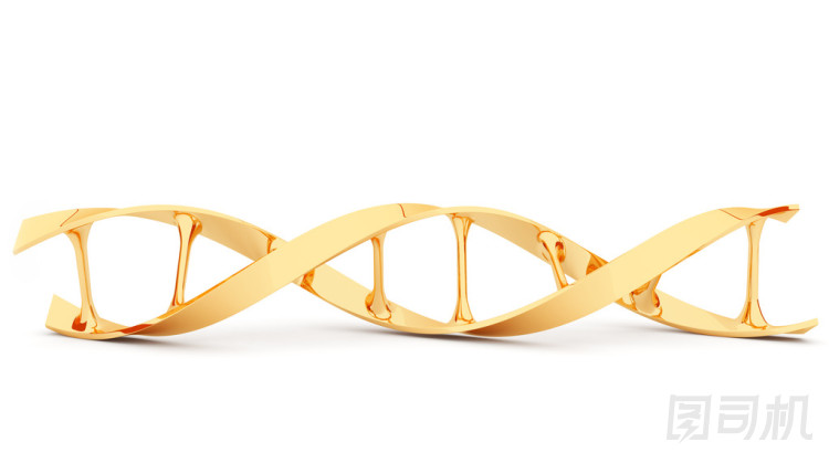 黃金 dna。3d 插圖中孤立