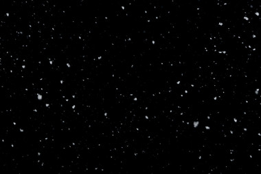 孤立在黑色背景上的落雪照片