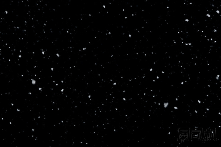 孤立在黑色背景上的落雪照片
