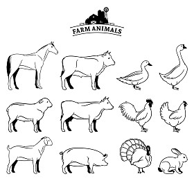 上白孤立的矢量农场动物