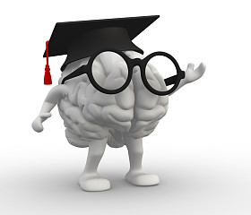 人类的大脑，胳膊和腿