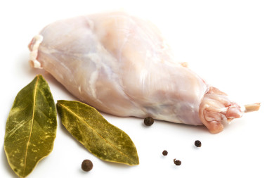 幾塊的原料兔子肉與蔬菜和香料