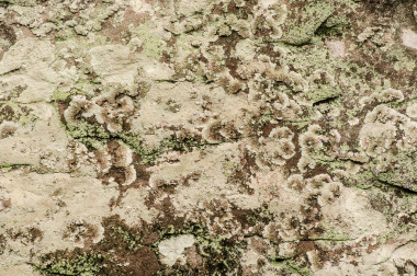 石材表面性質(zhì)