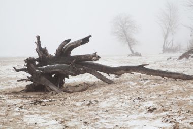 廢棄的霧冬天的海灘上的舊障礙