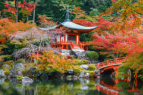 早期的秋天，在日本京都醐寺图片