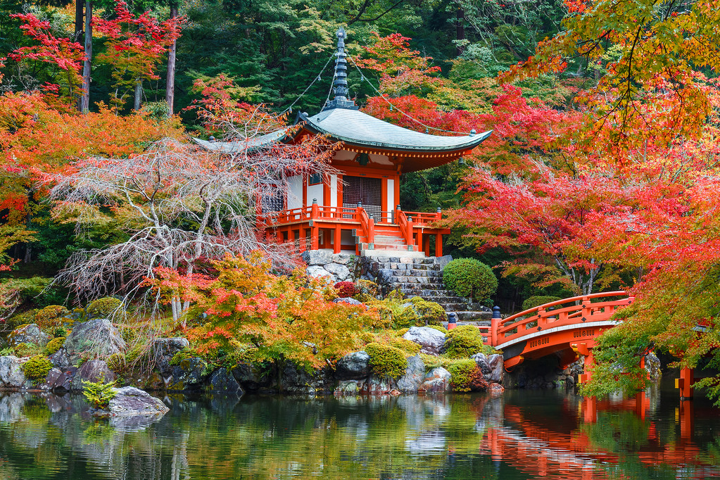 早期的秋天，在日本京都醐寺图片