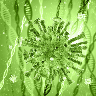 細(xì)菌入侵細(xì)胞