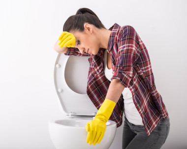 家庭主婦。廁