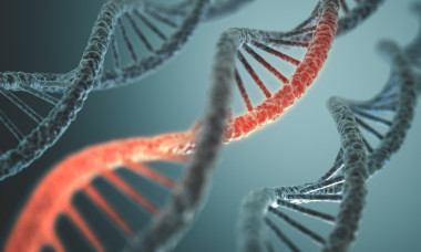 長的 Dna 結(jié)構(gòu)圖片