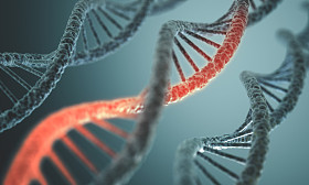 长的 Dna 结构图片