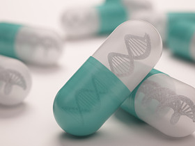 与内的 dna 丸
