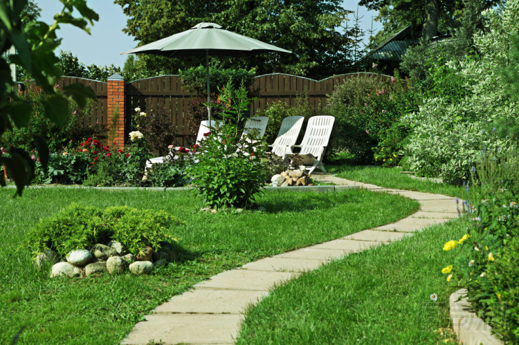 后院里的帕蒂奧圖片