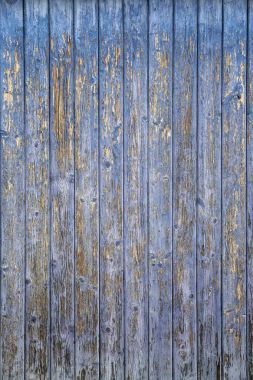 老裂紋木制的百葉窗圖片