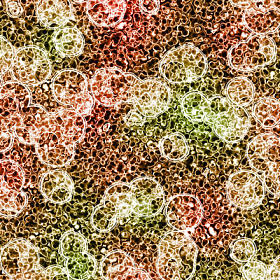 显微镜下的有机细胞照片