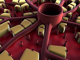 肝脏，肝脏结构