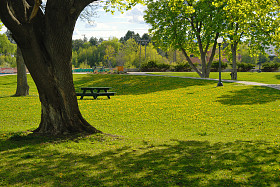 城市公园夏季视图图片