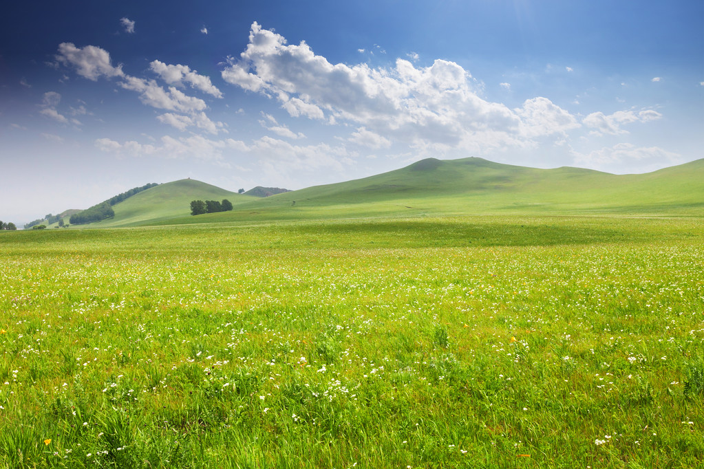 Cloudscape 草甸和春天的野花 Cloudscape 草甸和春天的野花