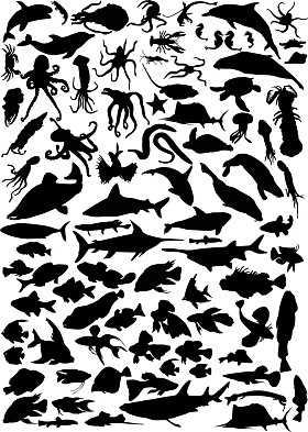 巨大的海洋动物集