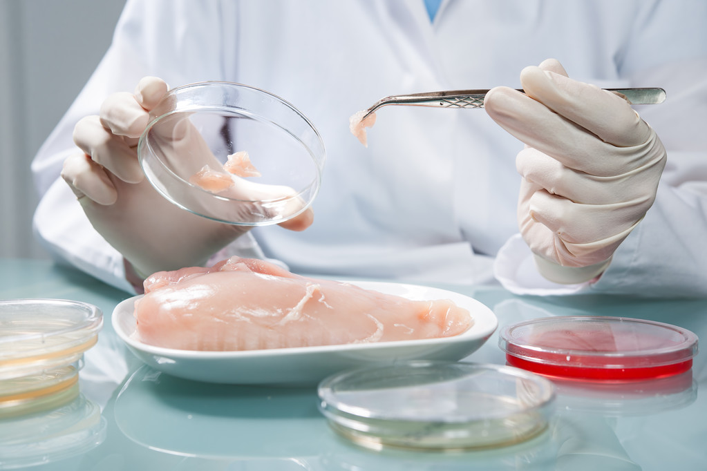 食品安全概念 食品安全概念