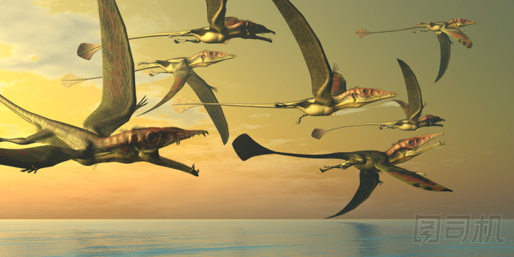 Eudimorphodon 恐龍群