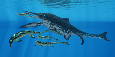 Shonisaurus 海洋爬行動物
