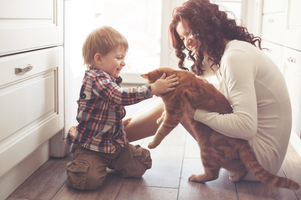 母亲和孩子玩猫 母亲和孩子玩猫