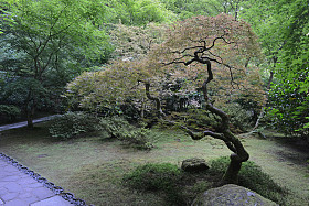 日本园林景
