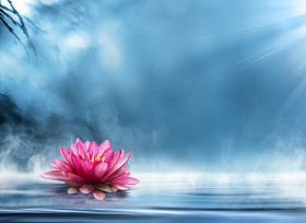 灵性禅在宁静的景