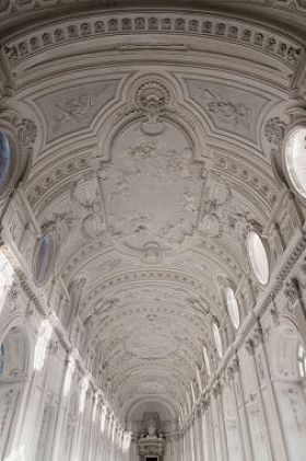 室内吊顶画廊的 Venaria Reale 皇家宫殿在馅