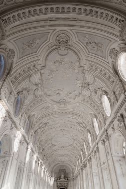 室内吊顶画廊的 Venaria Reale 皇家宫殿在馅