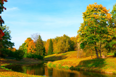 美麗的秋天公園