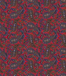 佩斯利图案图片