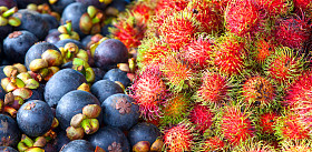 红毛丹、 山竹果图片