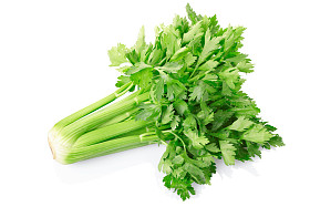 孤立在白色的绿色芹菜图片