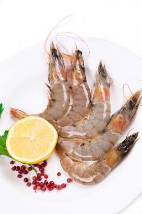 在白板上的原料虾