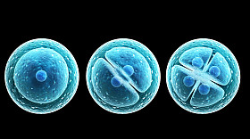 工序划分的单元格图片