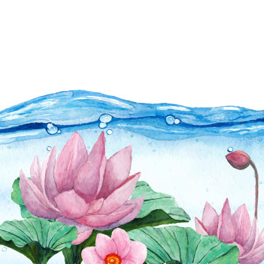 睡蓮水飛濺背景圖片