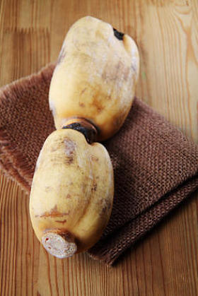 莲藕的特写图片